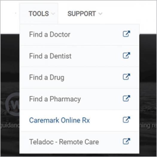 Drug cost step 2 image